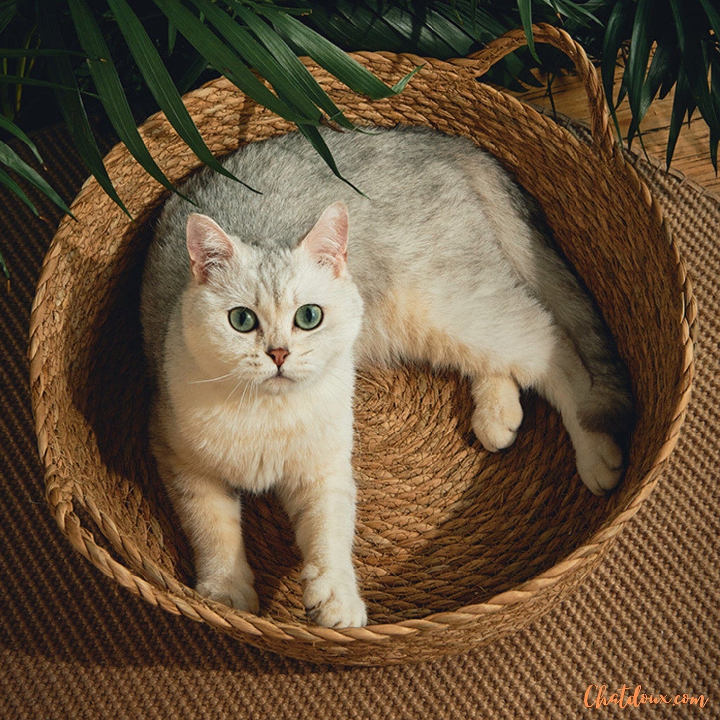 Panier chat osier | PanierNatureâą