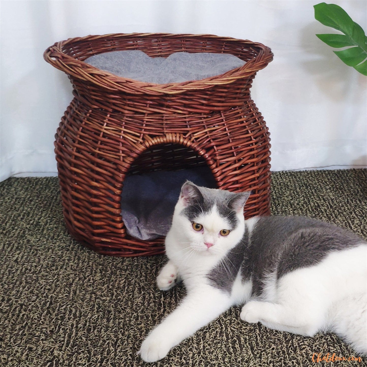 panier-chat-osier-fabrique-a-la-main-chez-chat-doux