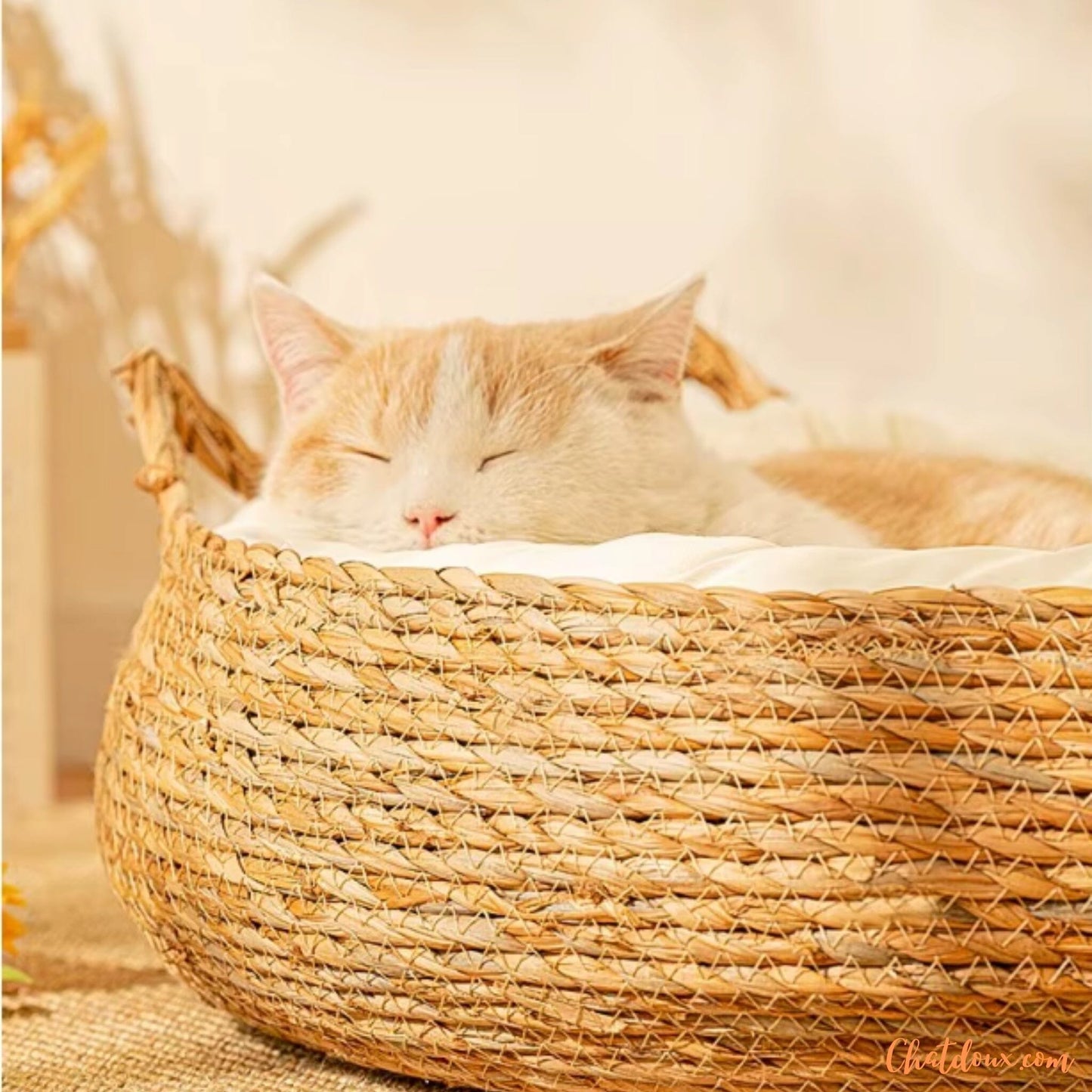 Panier chat osier | PanierNatureâą
