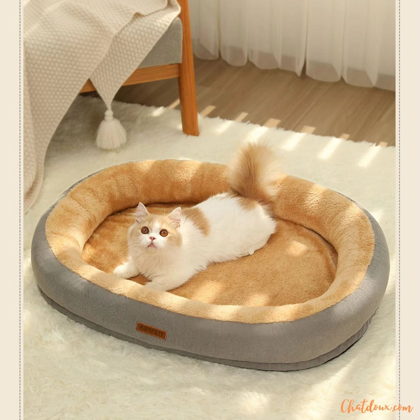 Panier pour chat | Cerly™ chatdoux
