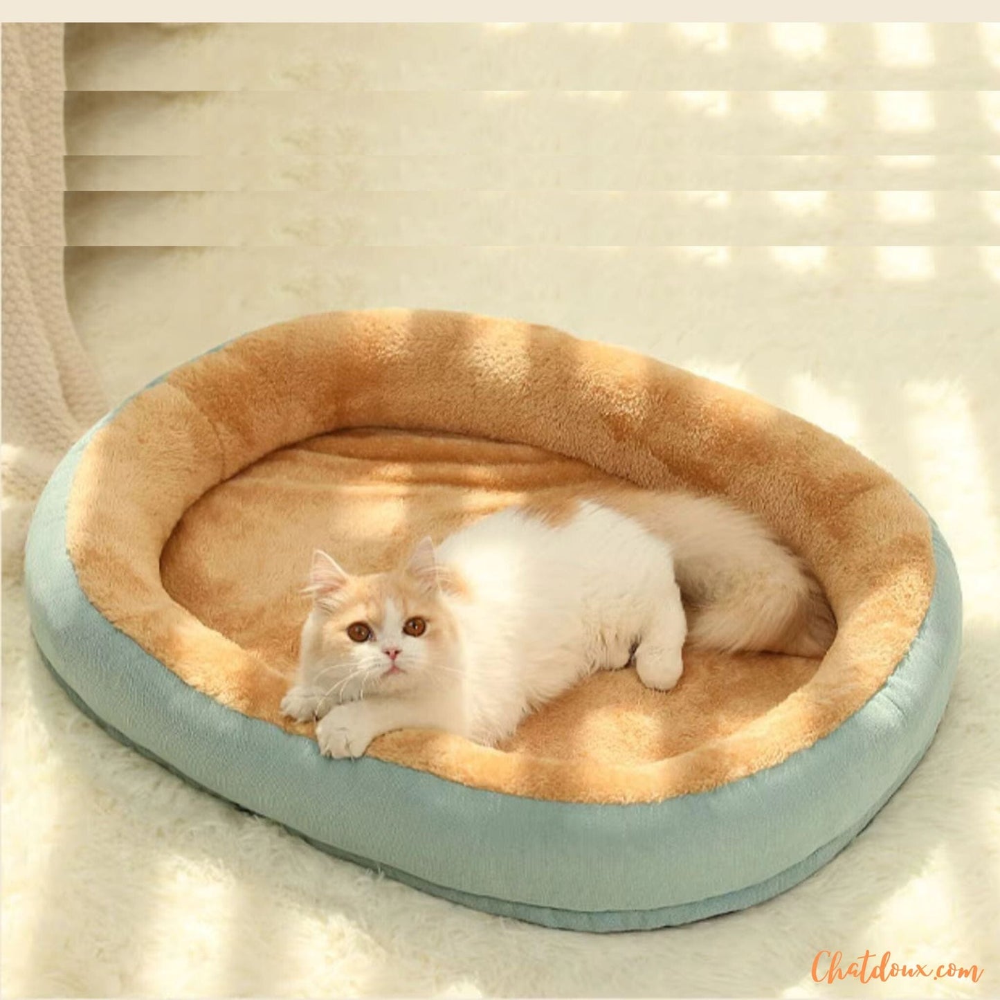 panier-pour-chaton-mignon-cerly