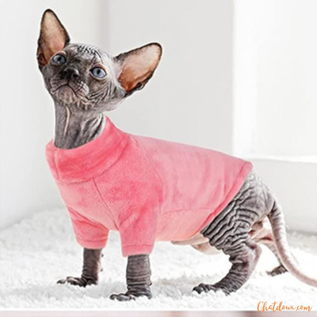 Pull Chaton PULL CHAT VÊTEMENT CHAUD POUR CHAT SANS