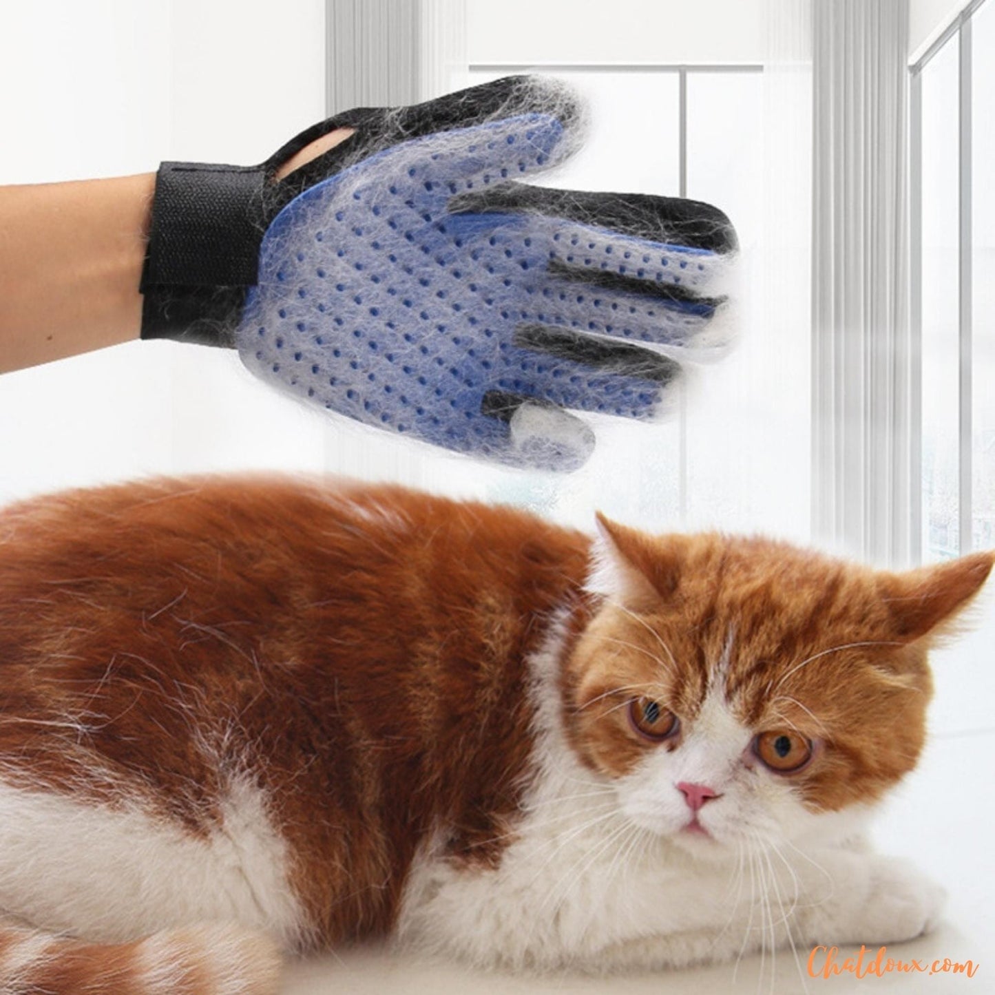 toilettage chat | Gant de toilettage pour chats | Brosse Ă dĂ©mĂȘler les poils de chat | NomProdâą chat doux
