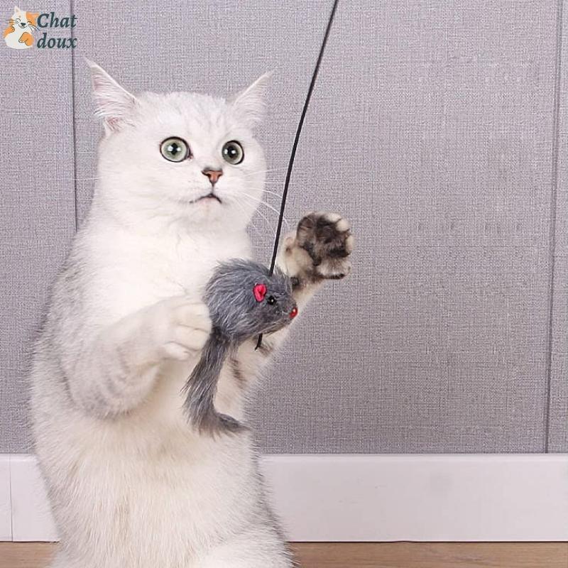 Jouet suspendu pour chat | JumpyMouse™ chat doux