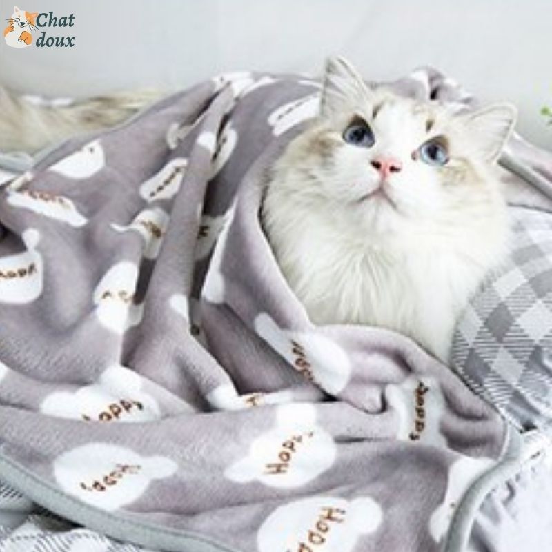Couverture pour Chat | Doucinette™ chat doux