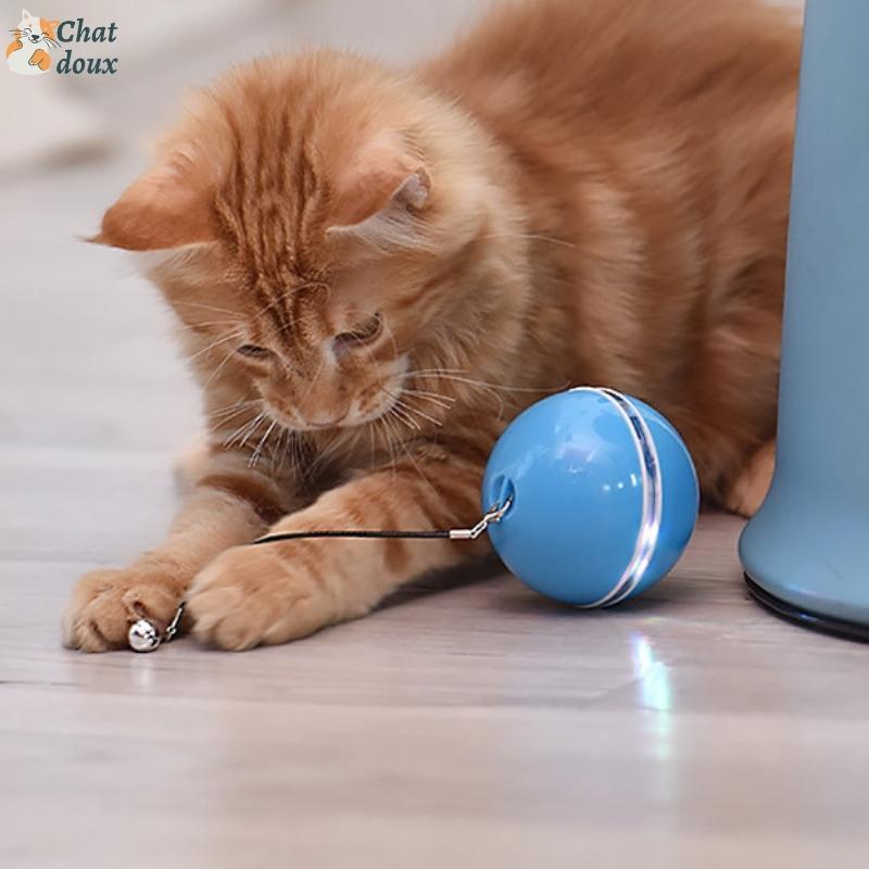 Balle rotative pour chat | CatyBall™ chat doux