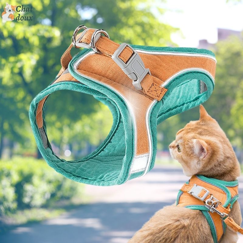 Harnais chat - Ensemble d'harnais avec laisse | FunyWalk™ chat doux