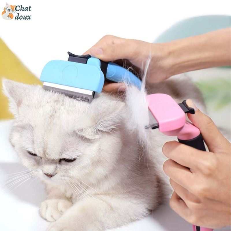 Brosse pour chat | Poiliss ™ chat doux
