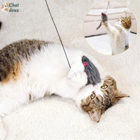 Jouet suspendu pour chat | JumpyMouse™ chat doux