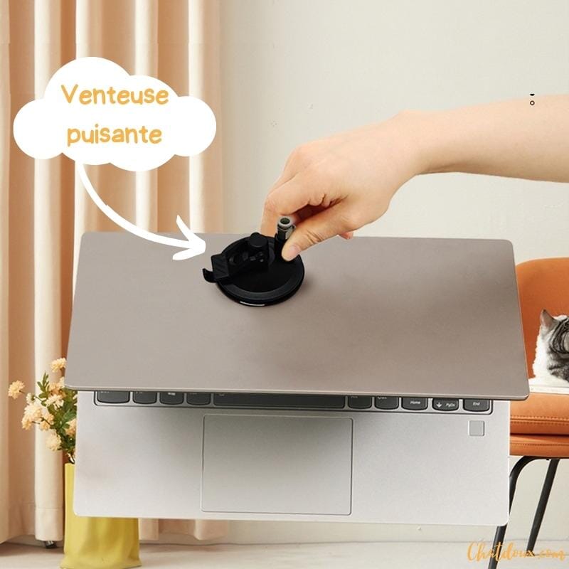 CANNE A PECHE CHAT | JOUET AMUSANT CHAT chat doux
