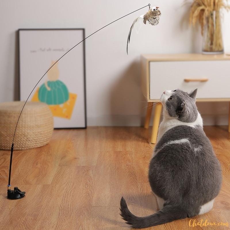 CANNE A PECHE CHAT | JOUET AMUSANT CHAT chat doux