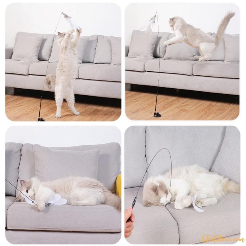 CANNE A PECHE CHAT | JOUET AMUSANT CHAT chat doux
