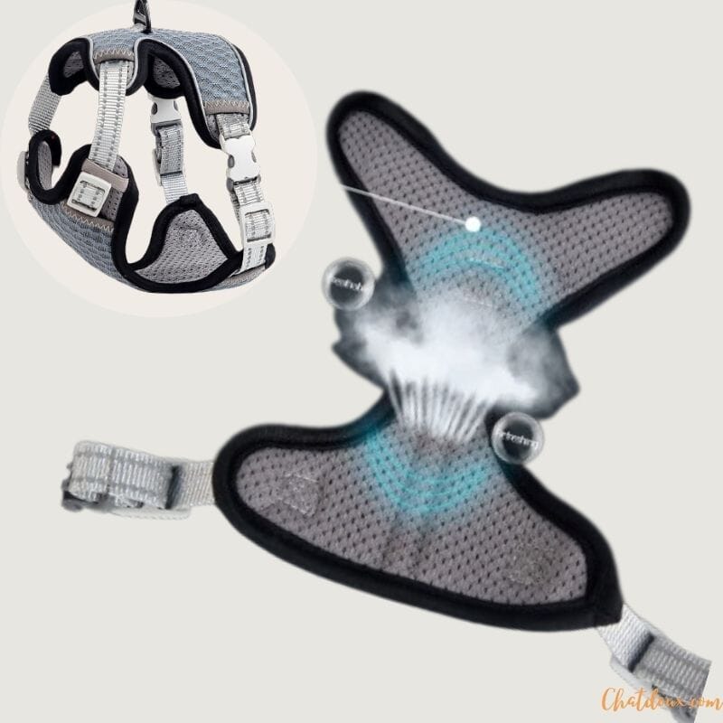 HARNAIS CHAT ANTI-FUGUE | HARNAIS GRIS AJUSTABLE chat doux