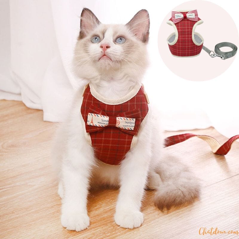 Harnais chat - Harnais avec papillon | Cutys™ chat doux