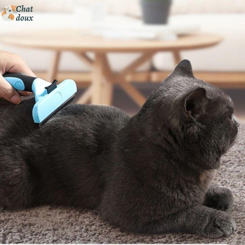 Brosse pour chat | Poiliss ™ chat doux