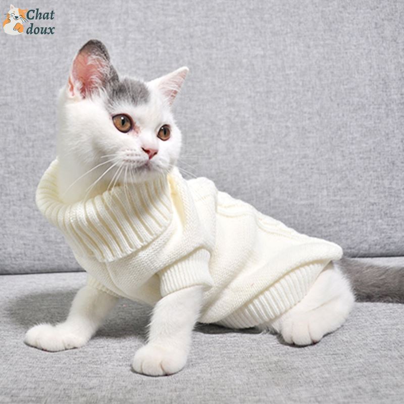 Tricot chaud pour chat | Pulocat™ chat doux