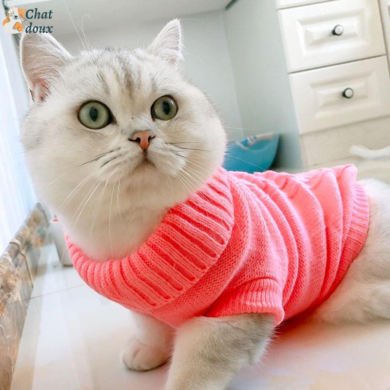 Tricot chaud pour chat | Pulocat™ chat doux