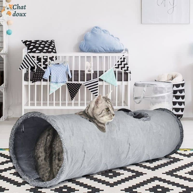 Tunnel d'exploration pour chat | FanyTanny™ chat doux