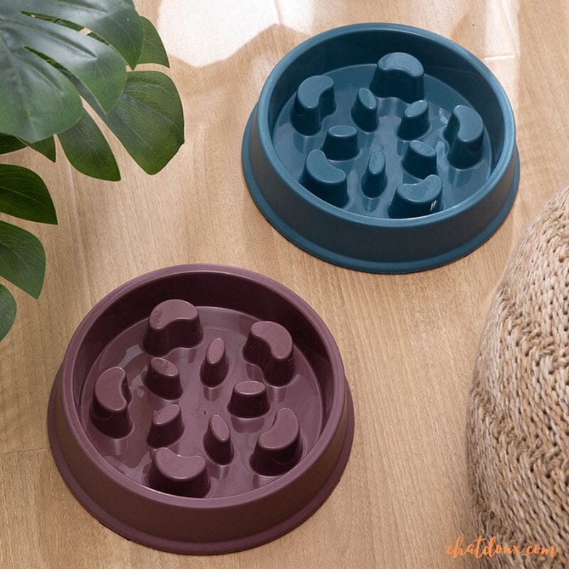 Gamelle anti glouton chat | SlowGam™ chat doux