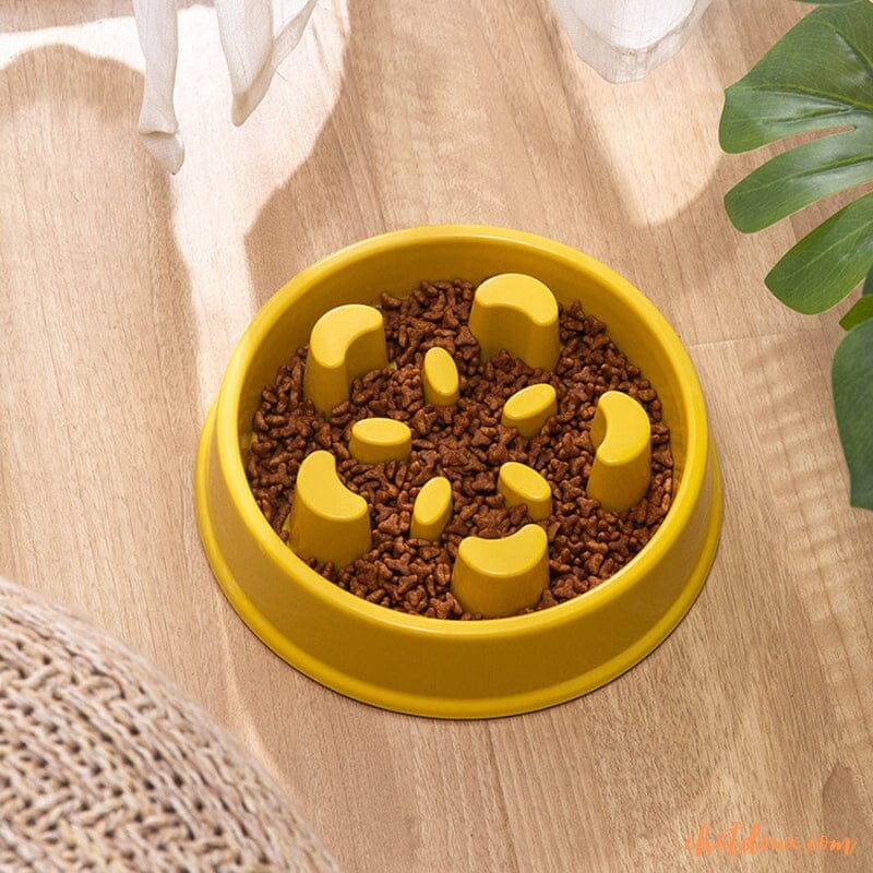 Gamelle anti glouton chat | SlowGam™ chat doux