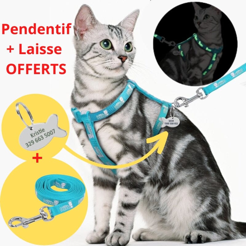 Harnais chat - harnais chaton chat doux