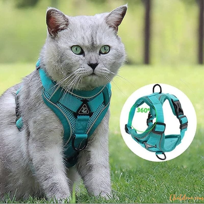 Harnais chat anti fugue | CatOut™ chat doux
