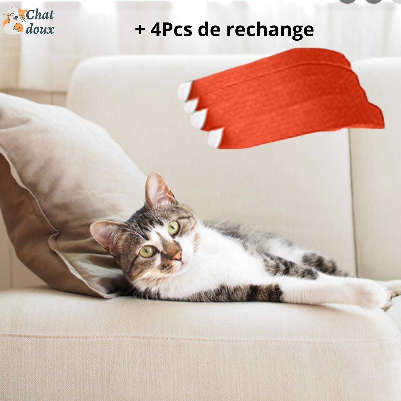 Rouleau anti-poils | Éliminateur de poils | TopClean™ chat doux