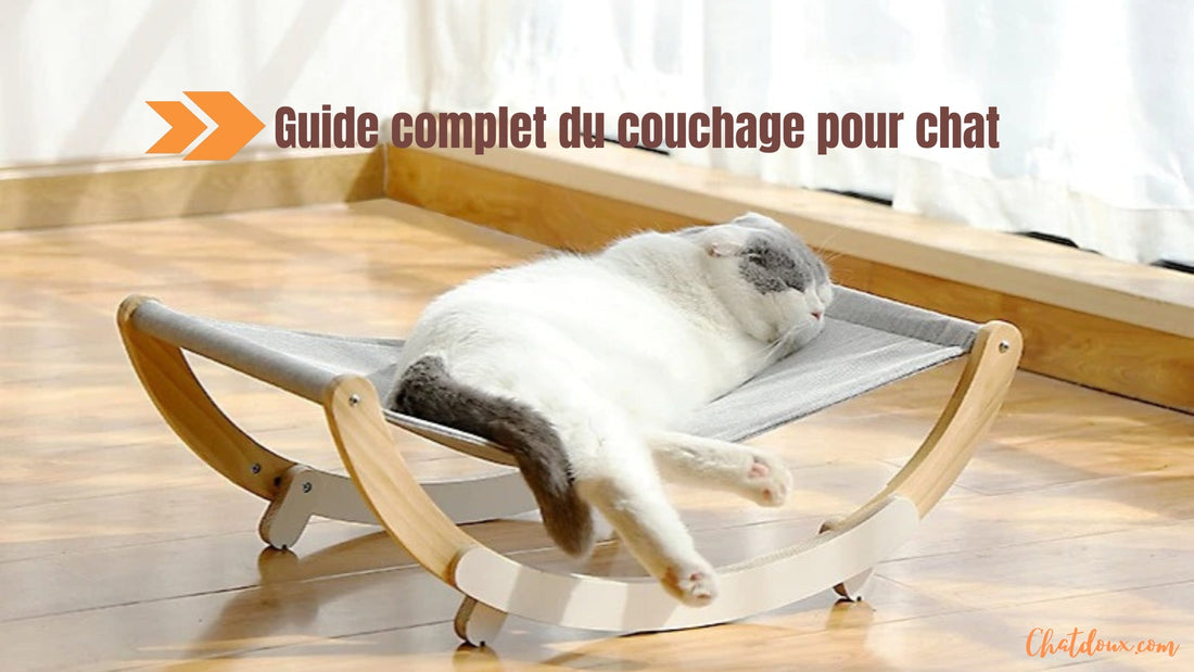Guide complet du couchage pour chat