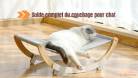 Guide complet du couchage pour chat