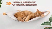 Pourquoi un hamac pour chat peut transformer son quotidien ?