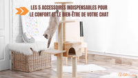 Les 5 accessoires indispensables pour le confort de votre chat