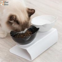 Les bonnes pratiques pour nourrir un chat