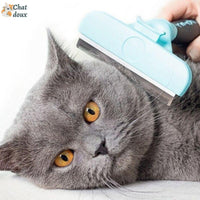 Pourquoi brosser mon chat?