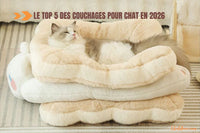 Le Top 5 des couchages pour chat en 2026