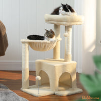 Arbre a chat