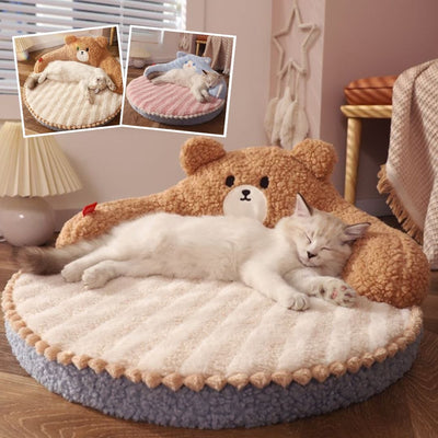 coussin-chat-collection