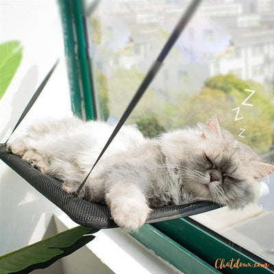 Hamac pour chat