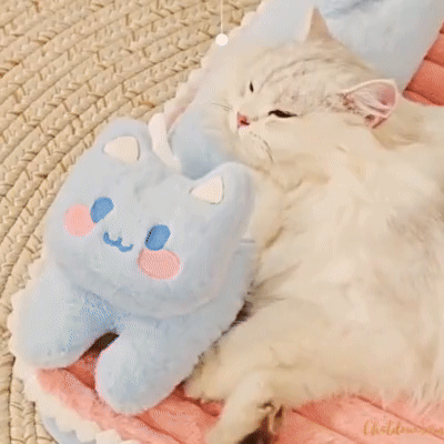 Lit pour chat