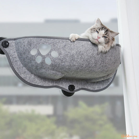 CHAT-QUI-DORT-DANS-HAMACA-CHAT-FENETRE-RepairePerche