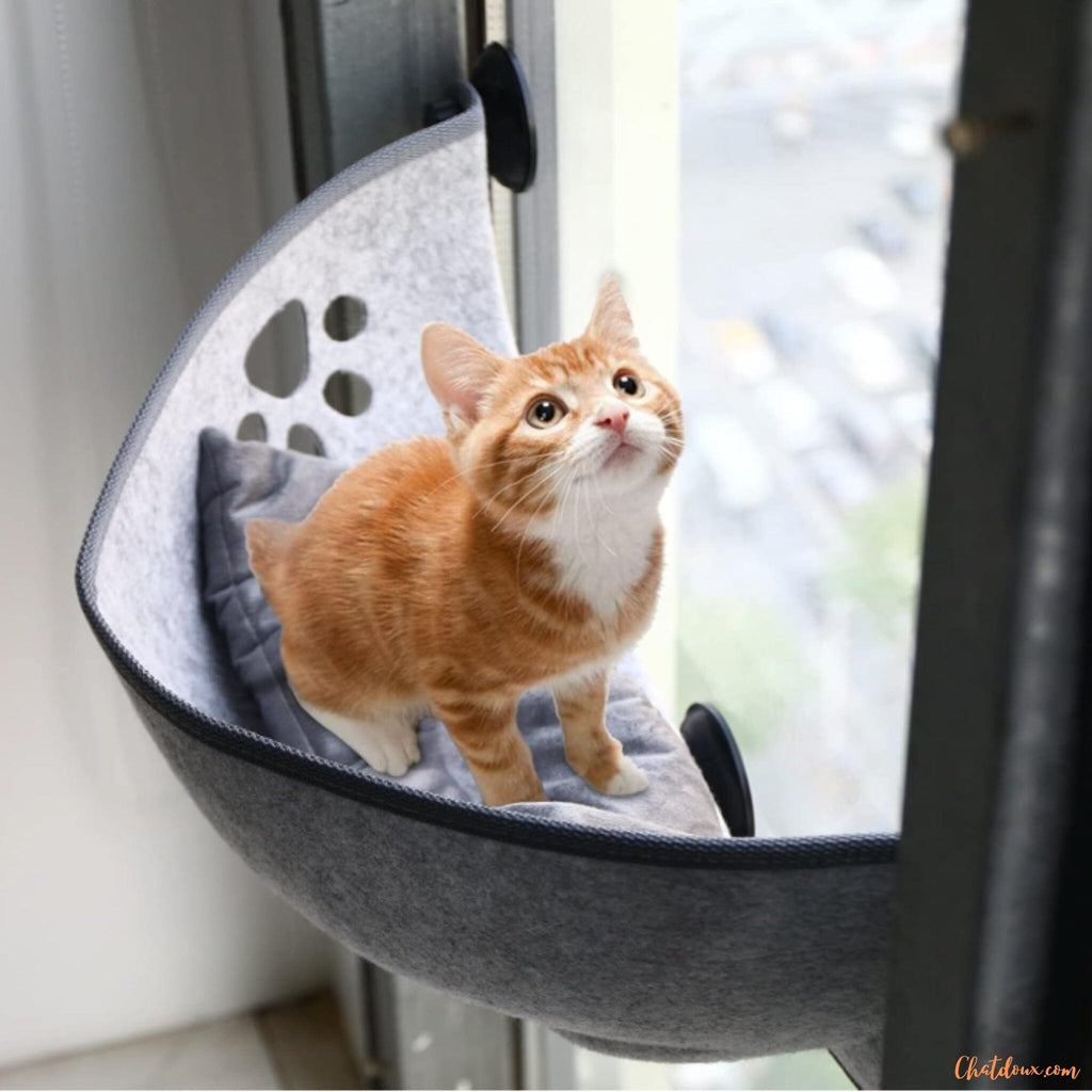 Hamac pour chat | RepairePerche – chat doux