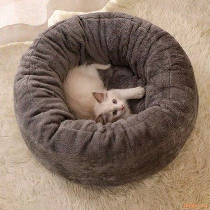 Coussin-chat-confortable-Dorych