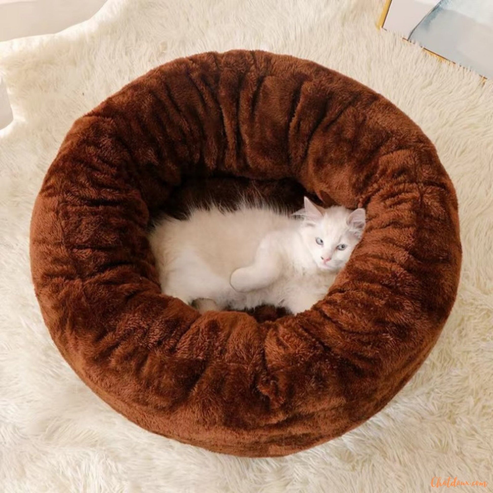 Coussin-chat-marron