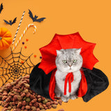 DEGUISEMENT-CHATS-CAP