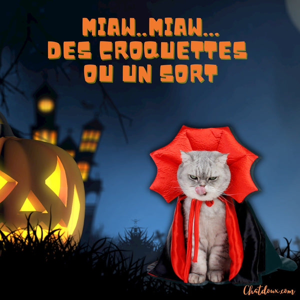 DEGUISEMENT-CHATS