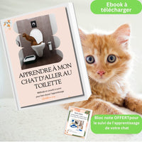 Ebook - APPRENDRE À MON CHAT D’ALLER AUX TOILETTES chat doux