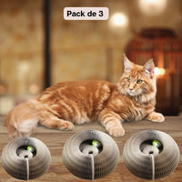Griffoir innovant pliable et recyclable et jouet interactif pour chat | CartyGrat™ chat doux