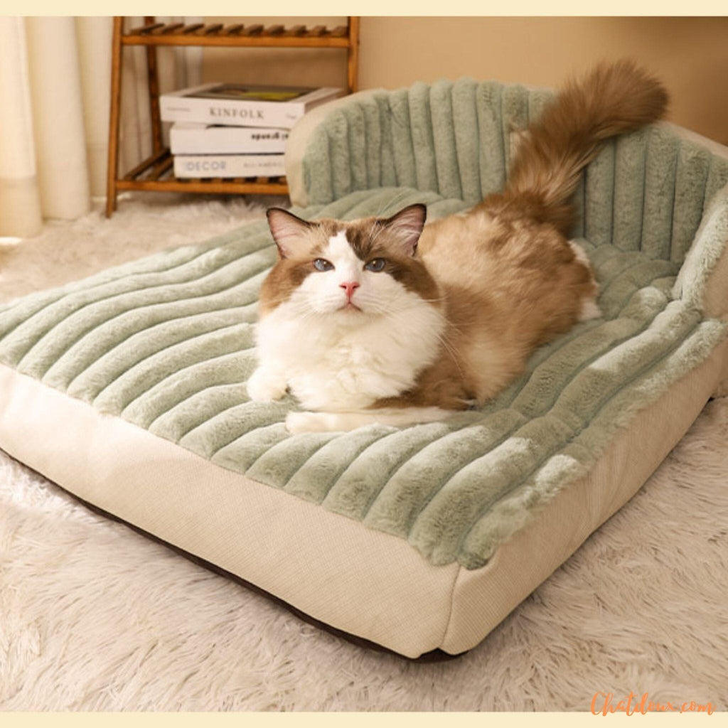 Lit pour chat | Moelit – chat doux