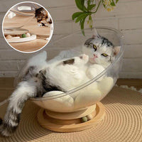 Lit chat - Panier transparent chat | ConfortPremium chat doux