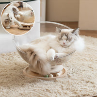 Lit chat - Panier transparent chat | ConfortPremium chat doux