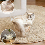 Lit chat - Panier transparent chat | ConfortPremium chat doux